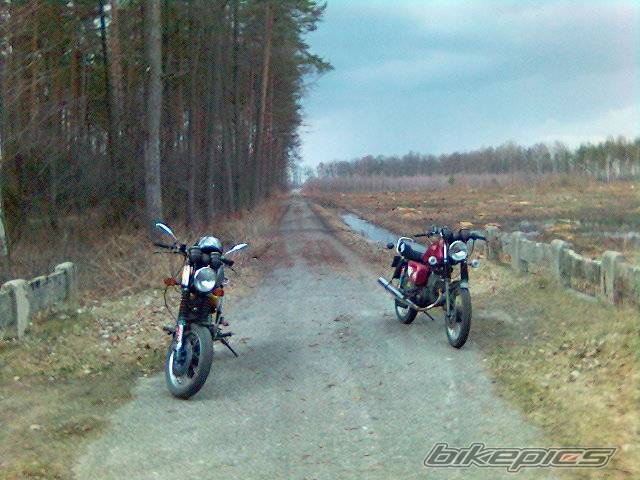 Photo 554494