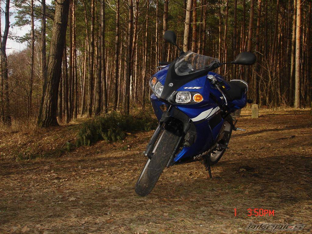 Bike Photo 554741