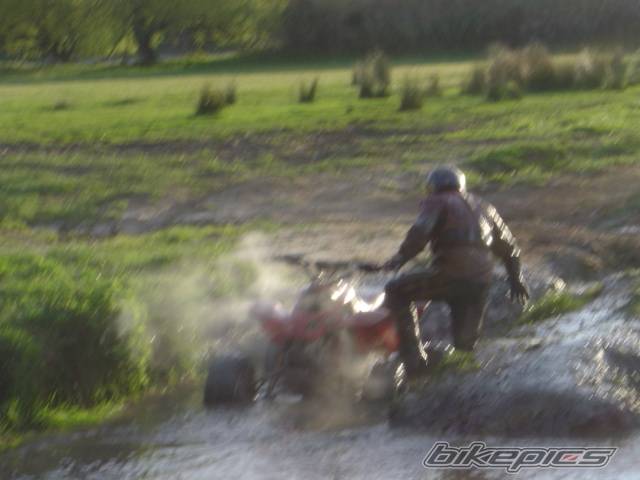 Photo 554914