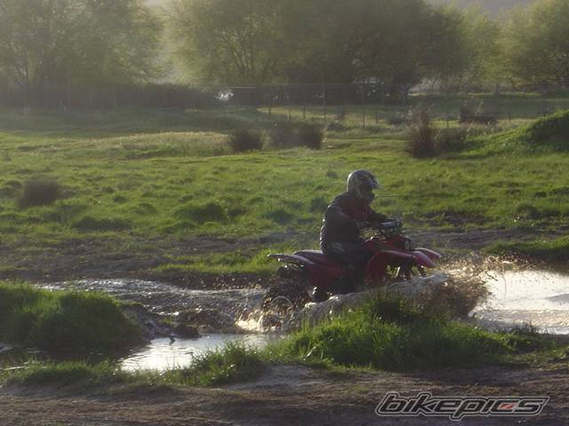 Photo 554919
