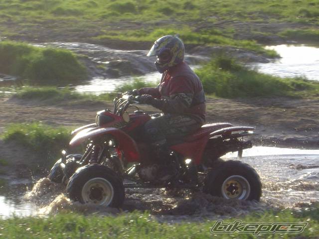 Photo 554920