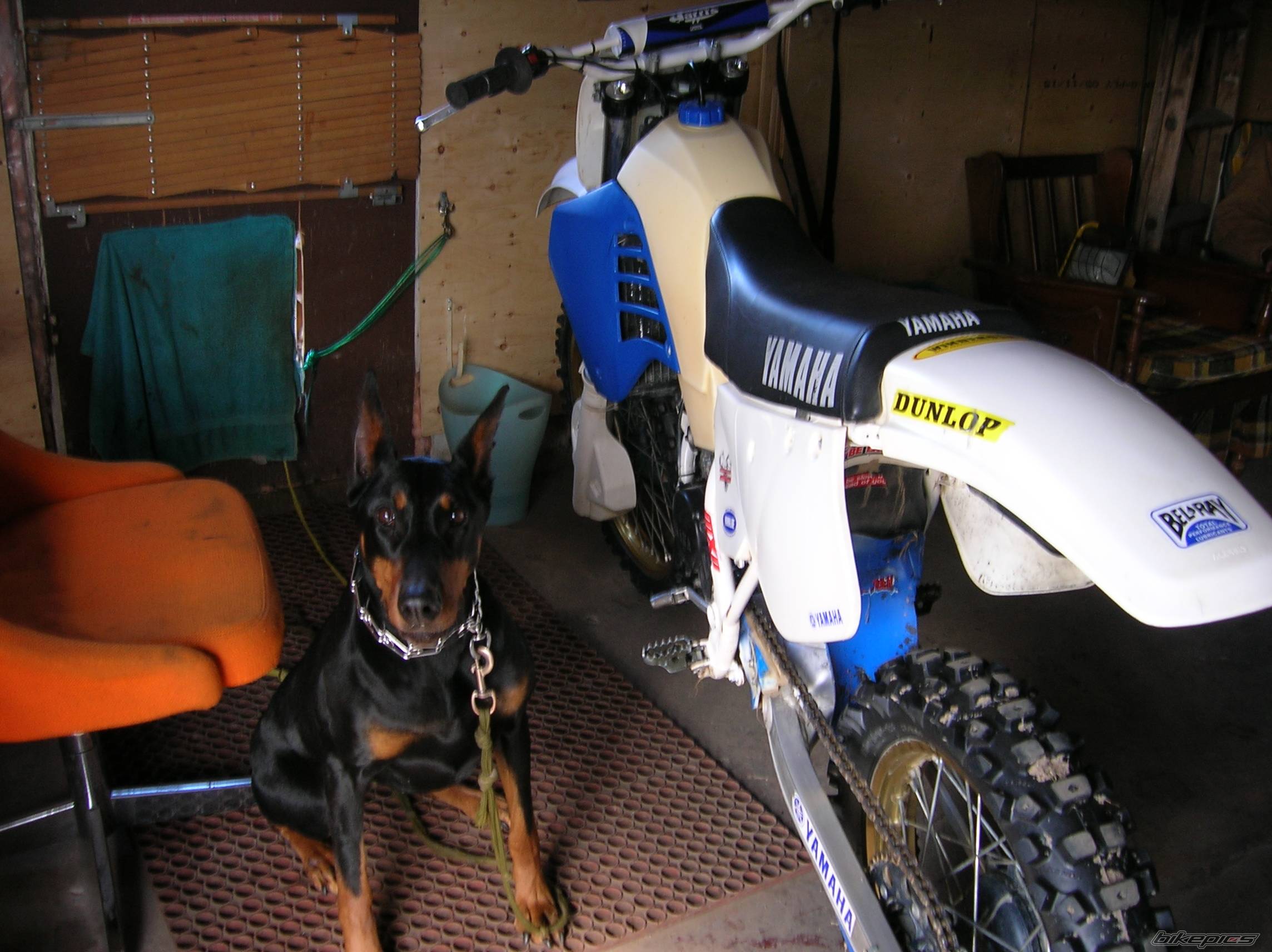 Bike Photo 554997