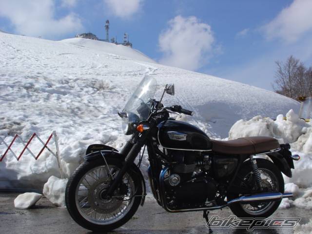 Bike Photo 555002