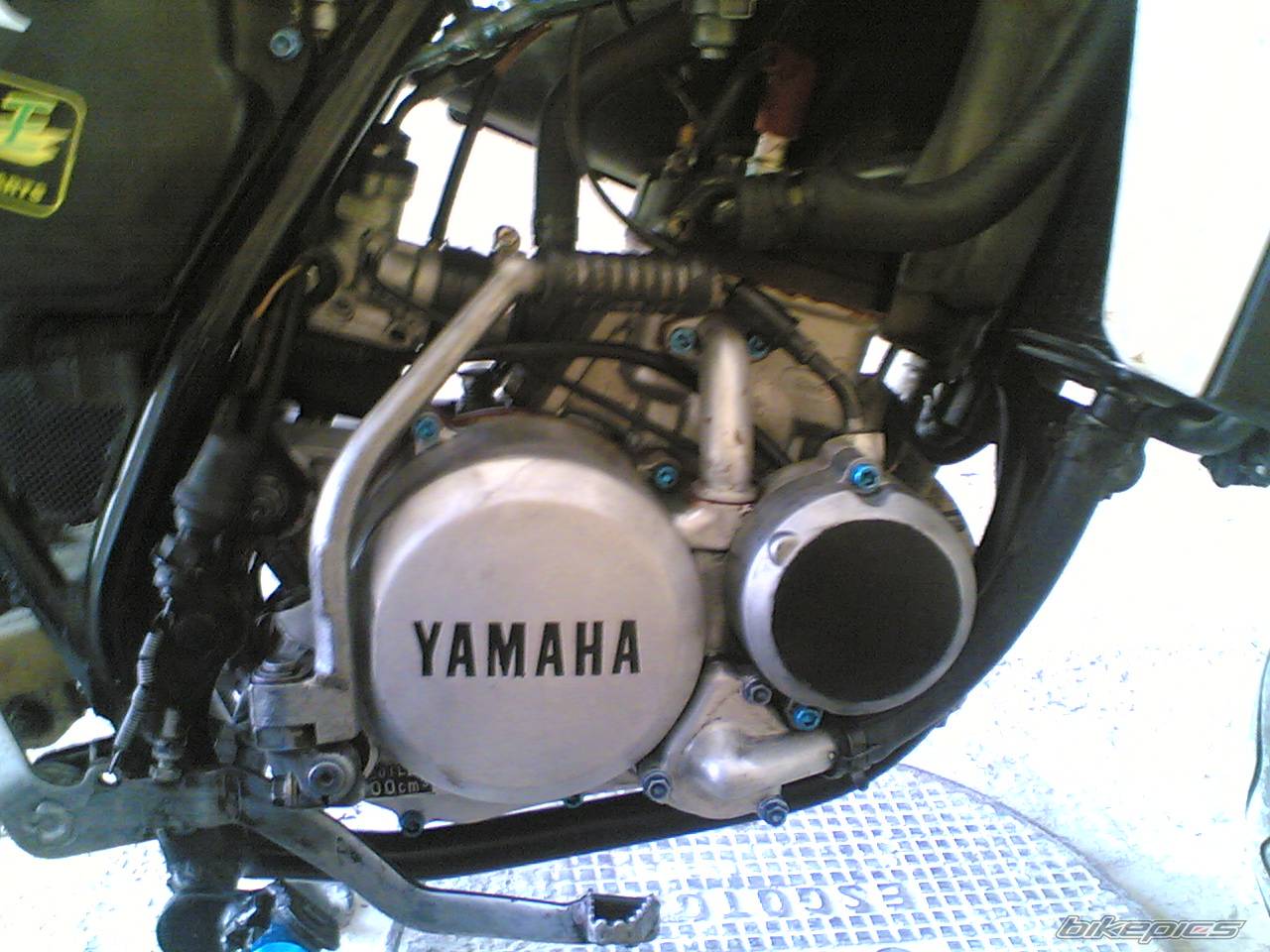 Bike Photo 555384