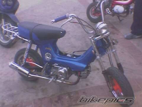 Photo 555570