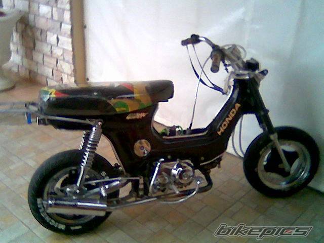 Photo 555578
