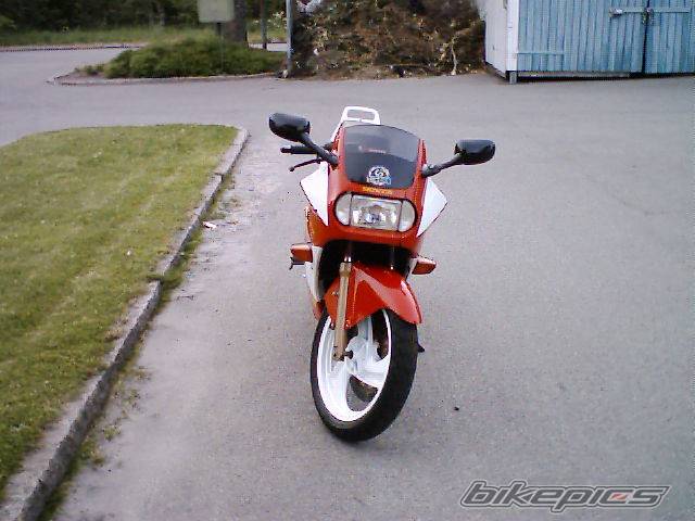 Photo 55559
