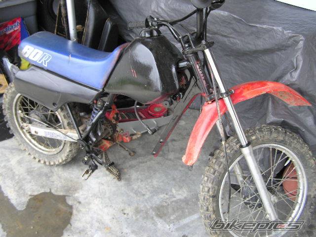 Bike Photo 555690