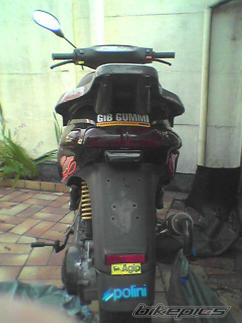Photo 55586