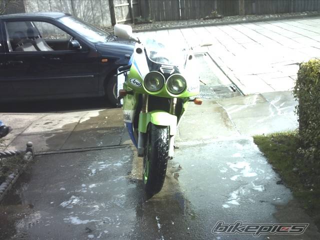 Photo 555971