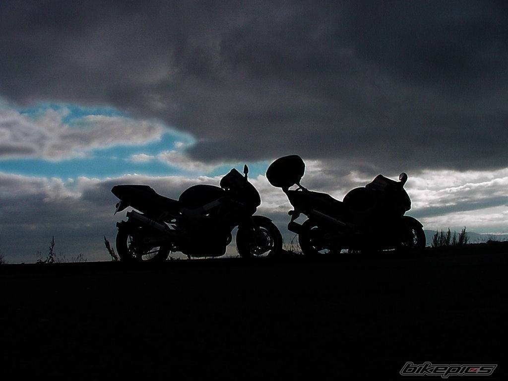 Photo 556157