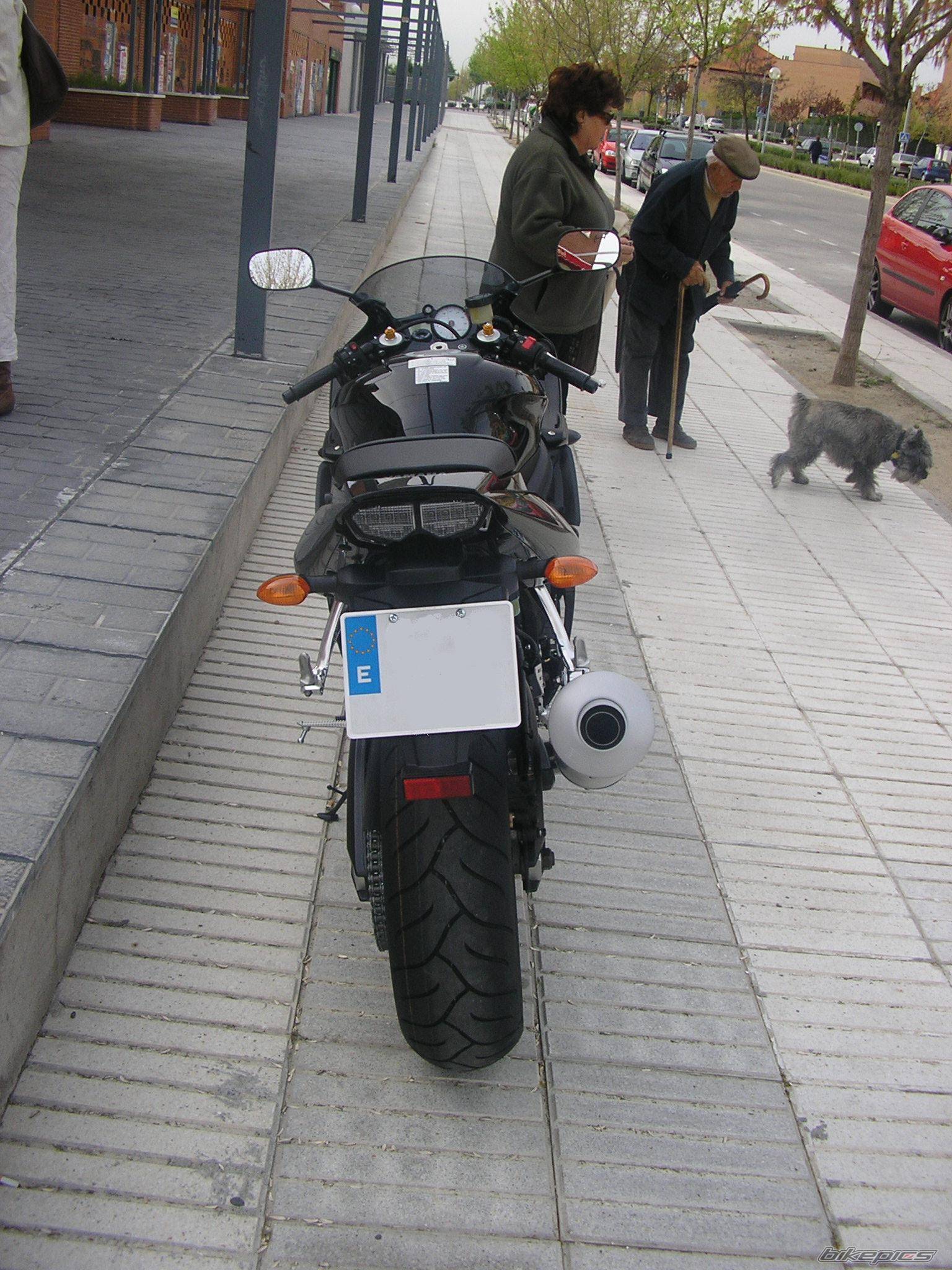 Photo 556386