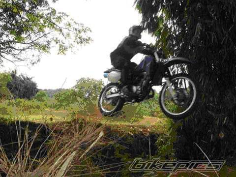 Bike Photo 556439