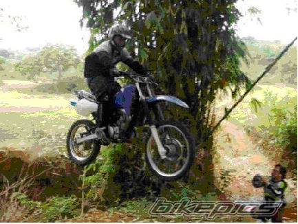 Bike Photo 556447