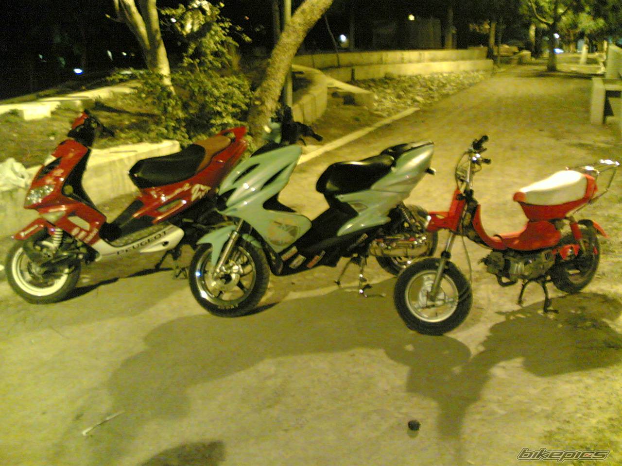 Photo 556539