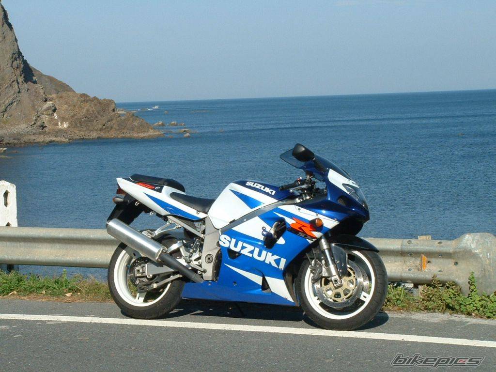 Bike Photo 556710