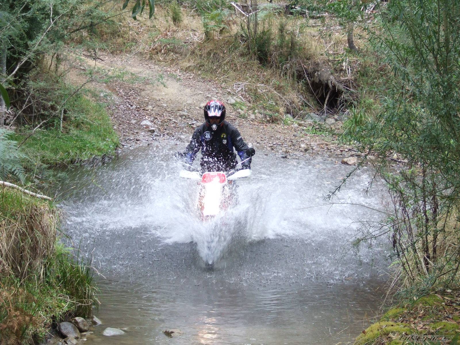 Bike Photo 556846
