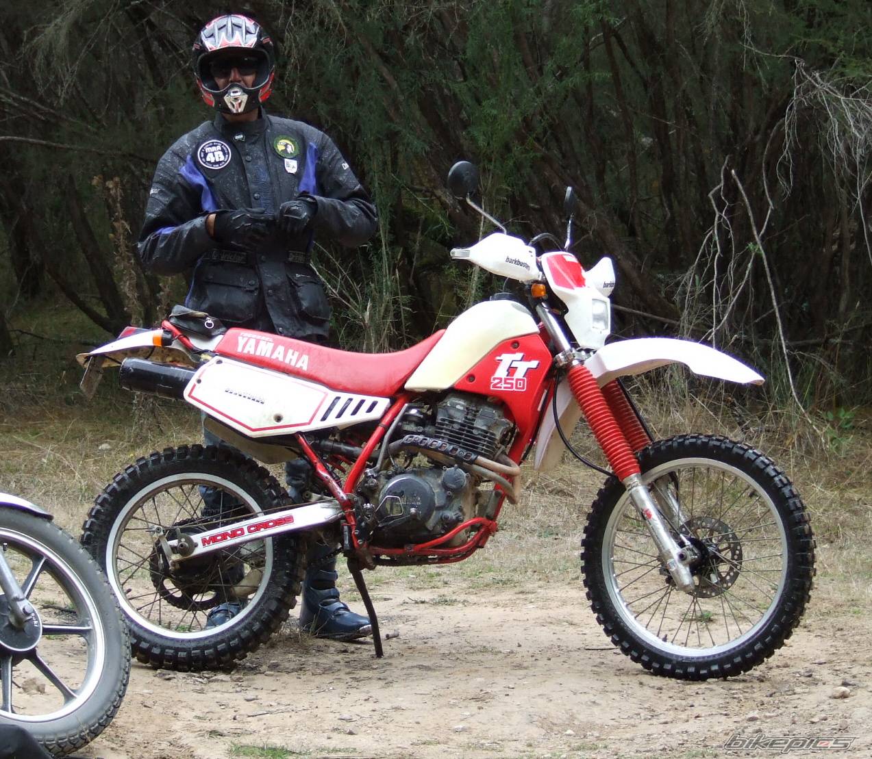 Bike Photo 556852