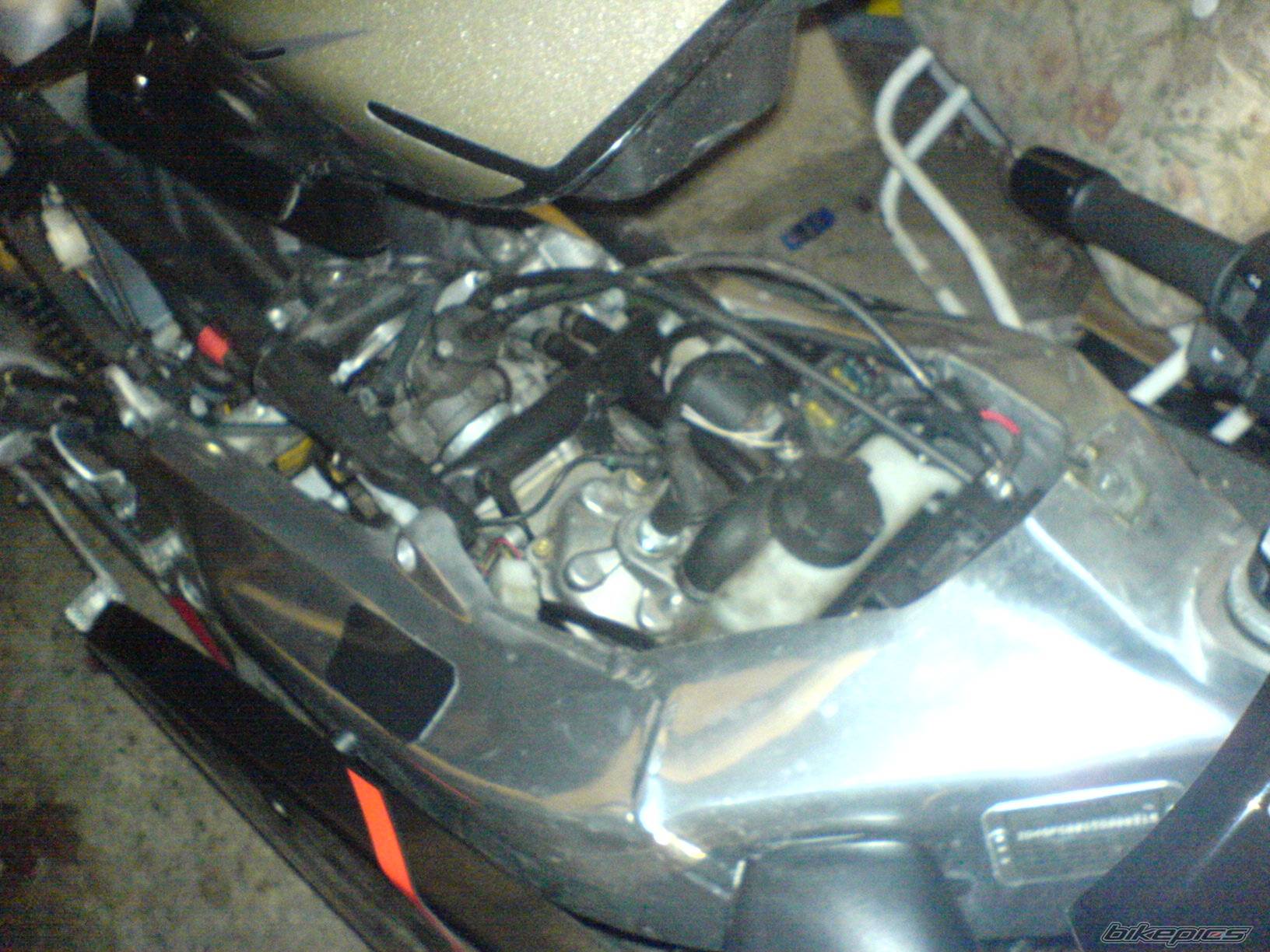Photo 556903
