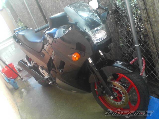 Photo 556977