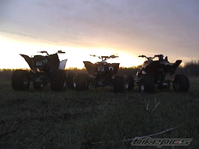 Photo 556993