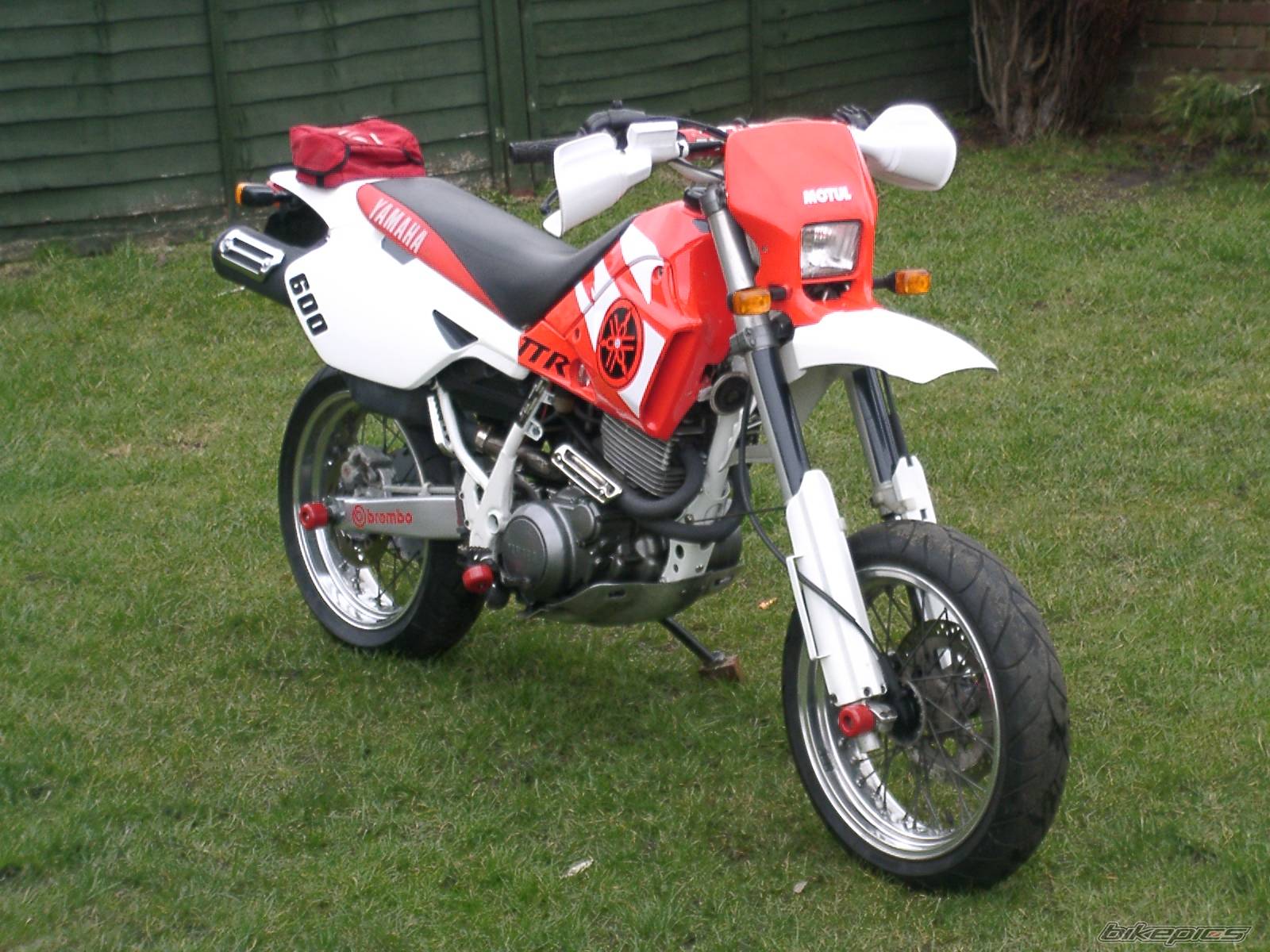 Bike Photo 557229