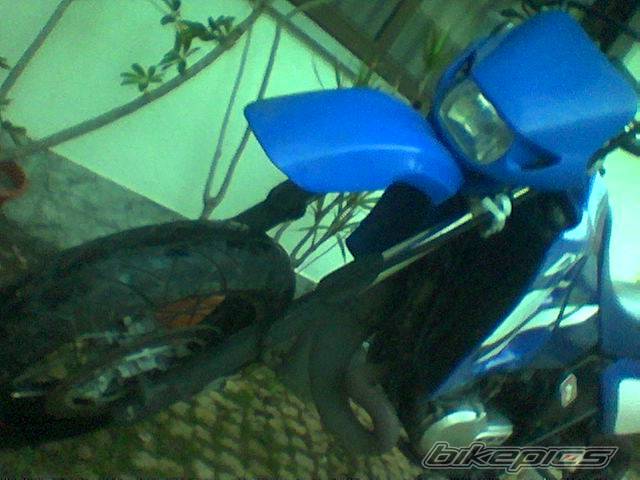 Photo 557270
