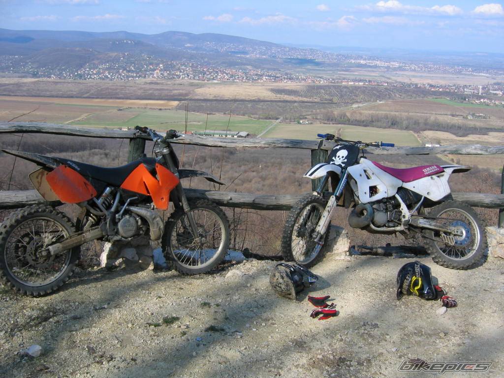 Bike Photo 557286