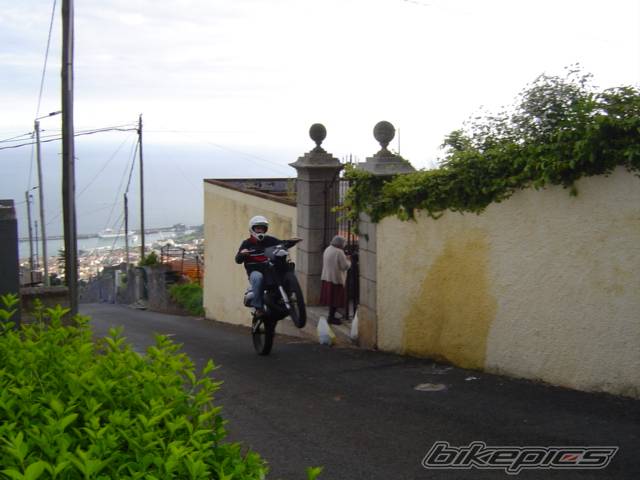 Bike Photo 557347