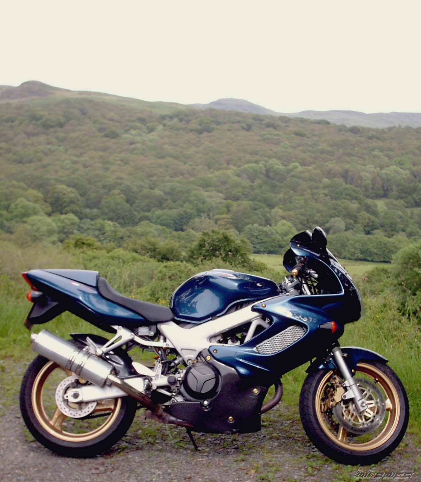 Bike Photo 557389