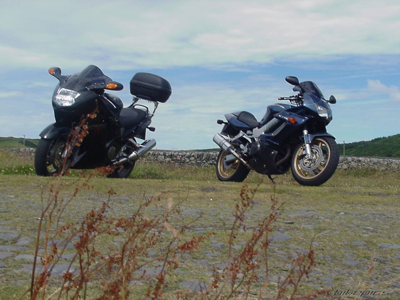 Bike Photo 557395