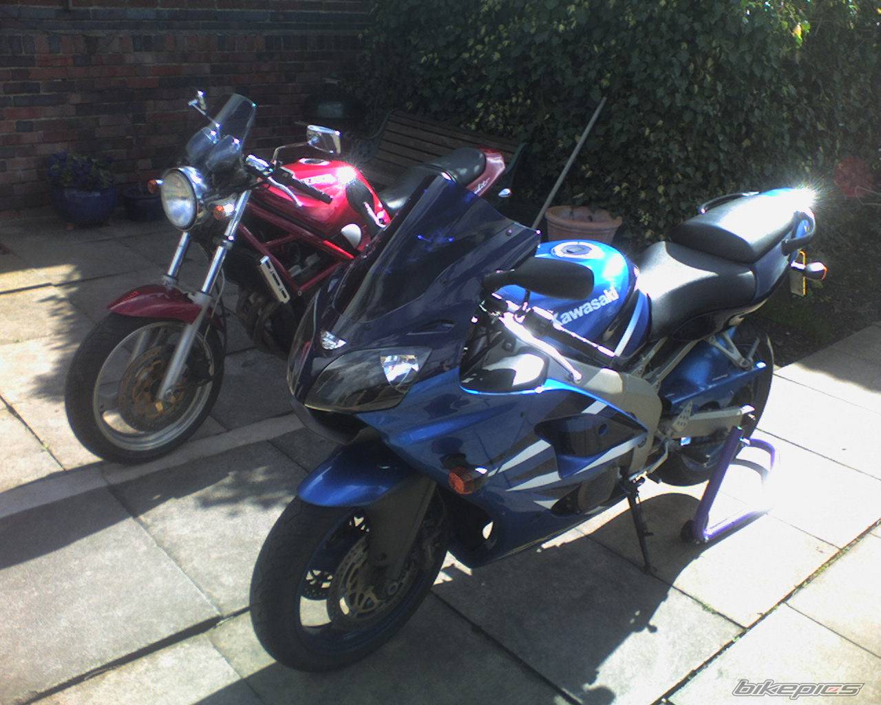 Bike Photo 557635