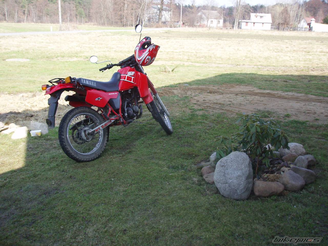 Bike Photo 557668