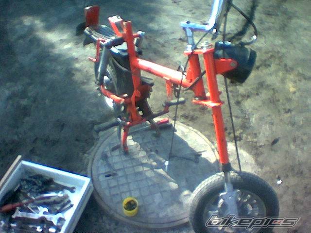 Photo 557856