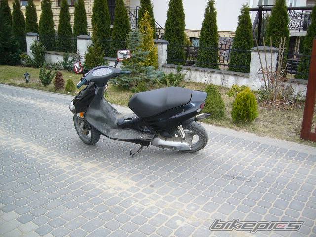 Photo 557893