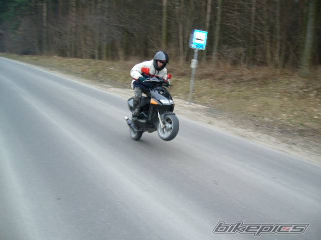 Photo 557913