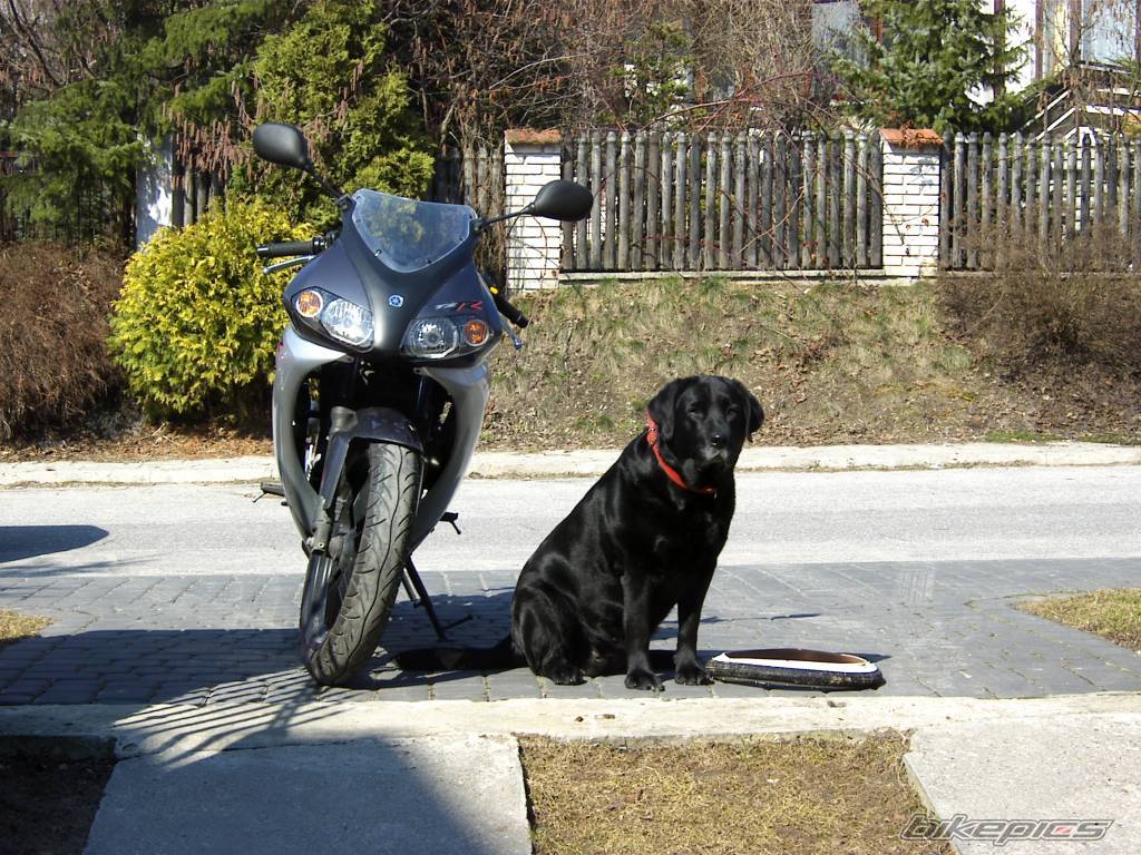 Bike Photo 557951