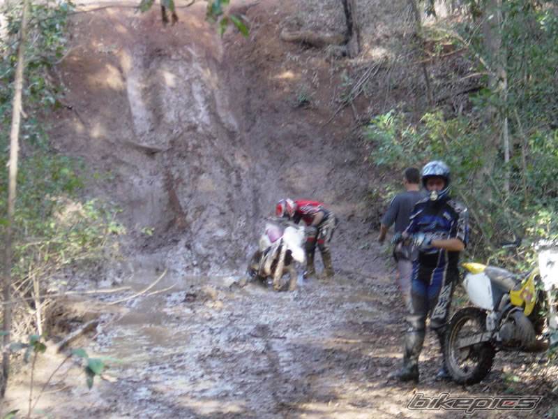 Bike Photo 55798