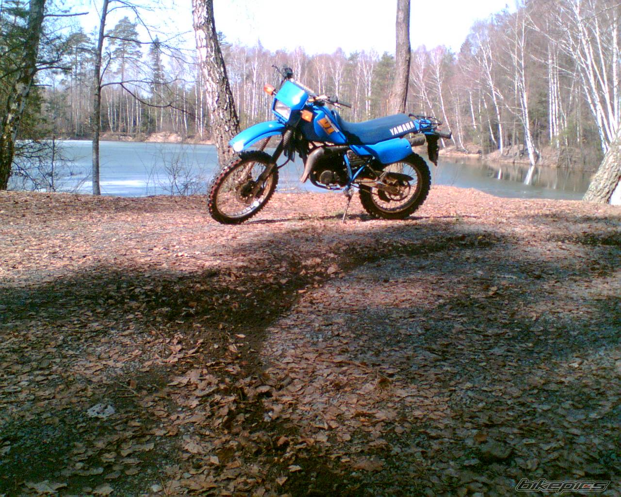 Bike Photo 558202
