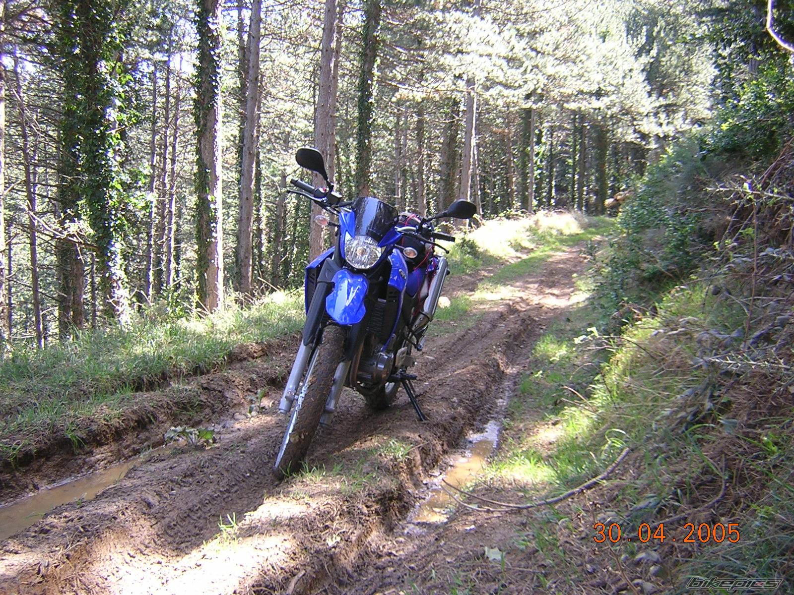 Bike Photo 558263