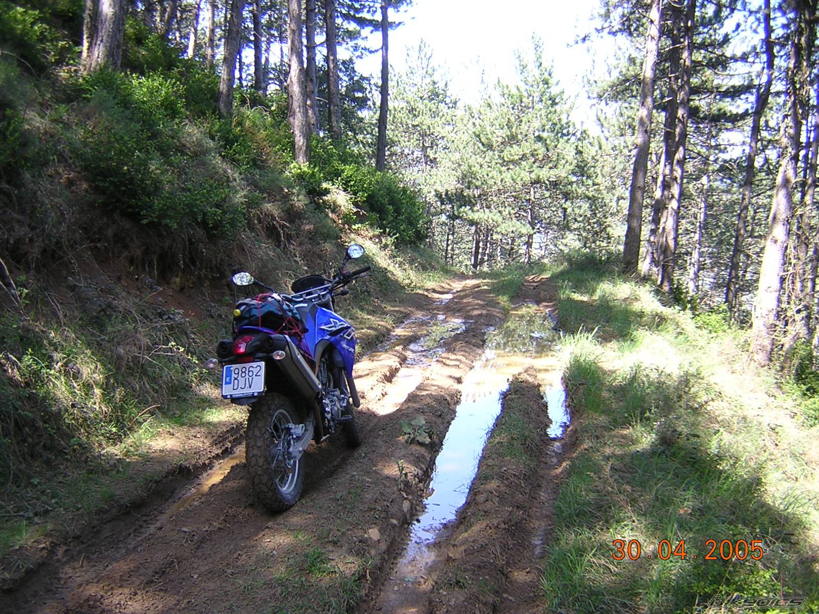 Bike Photo 558264