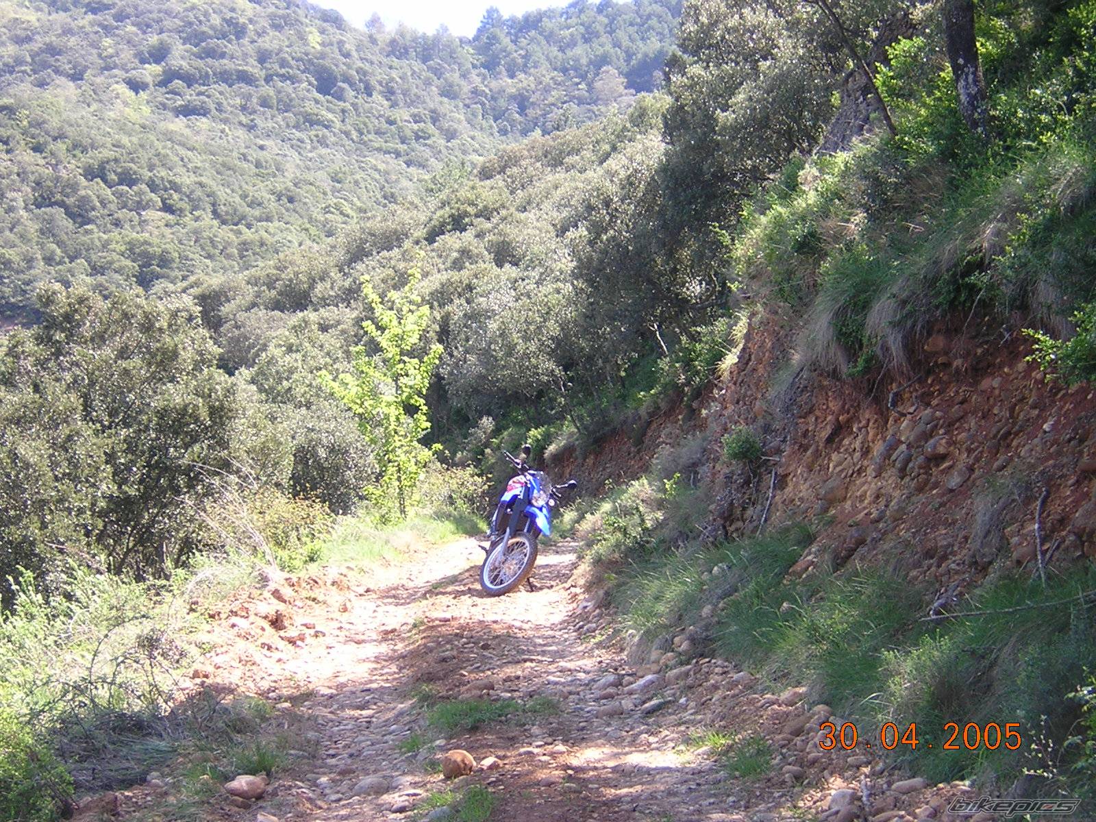 Bike Photo 558265