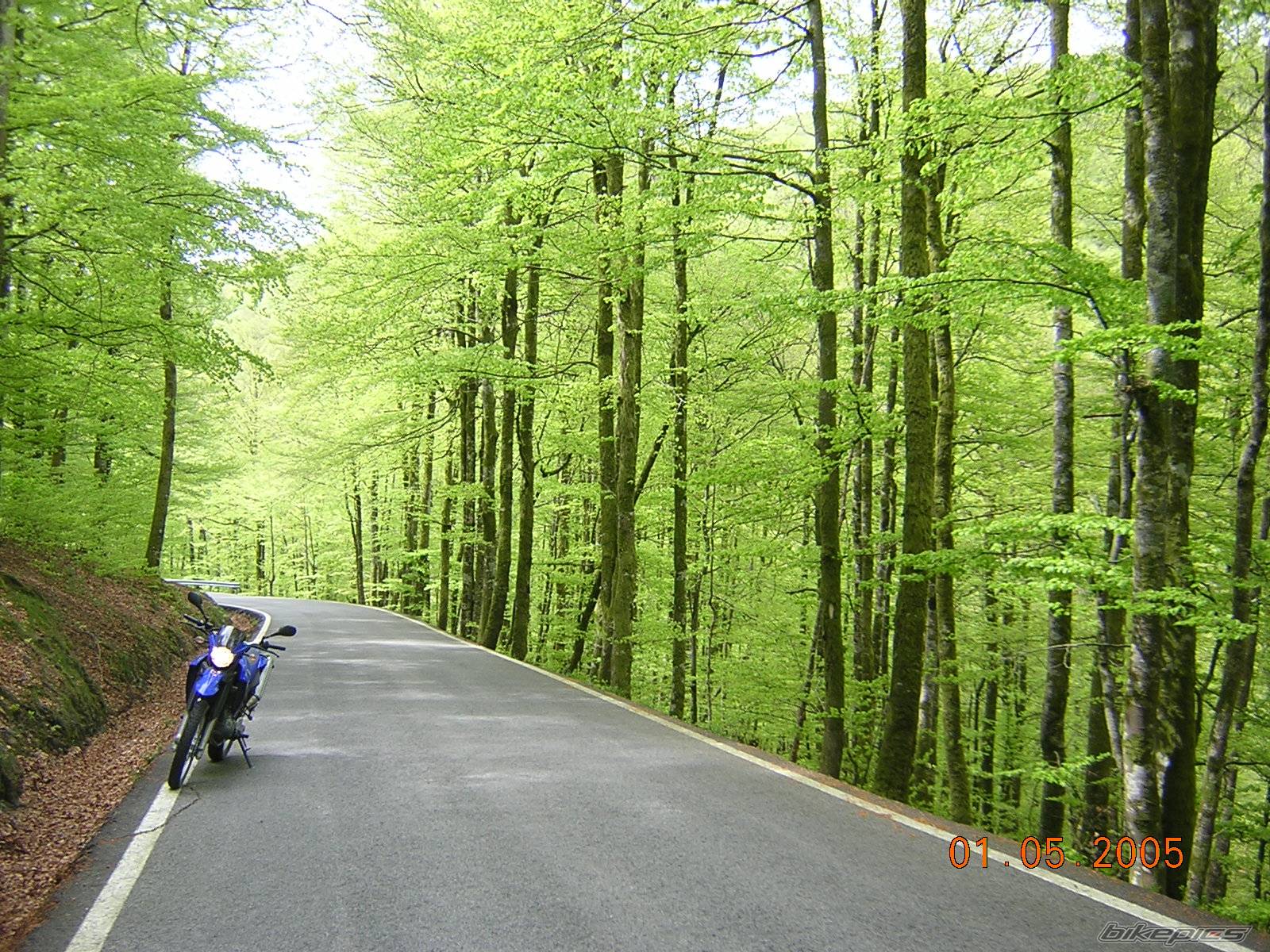 Bike Photo 558268
