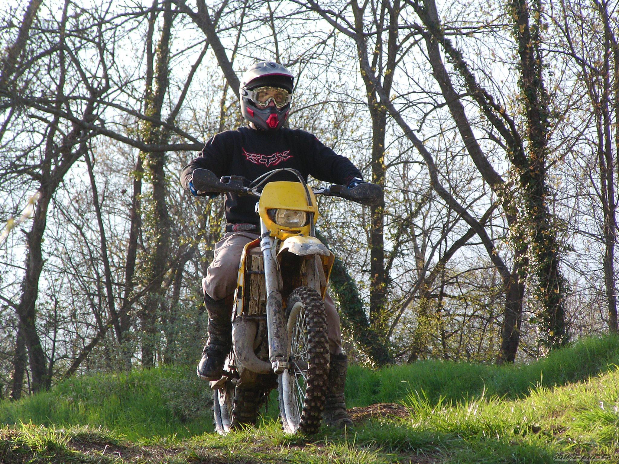 Bike Photo 558287