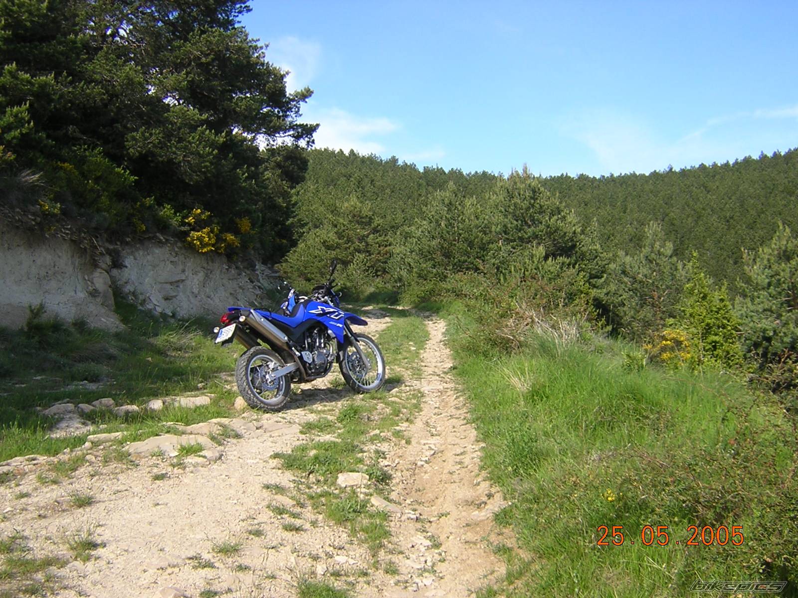 Bike Photo 558294