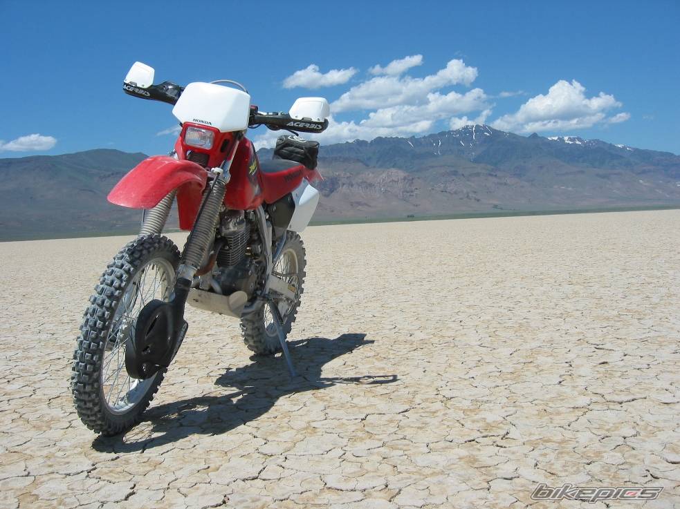 Bike Photo 558413