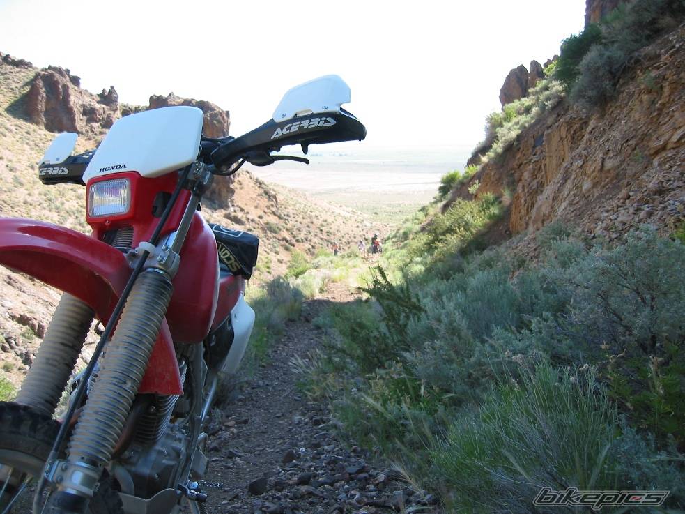 Bike Photo 558415