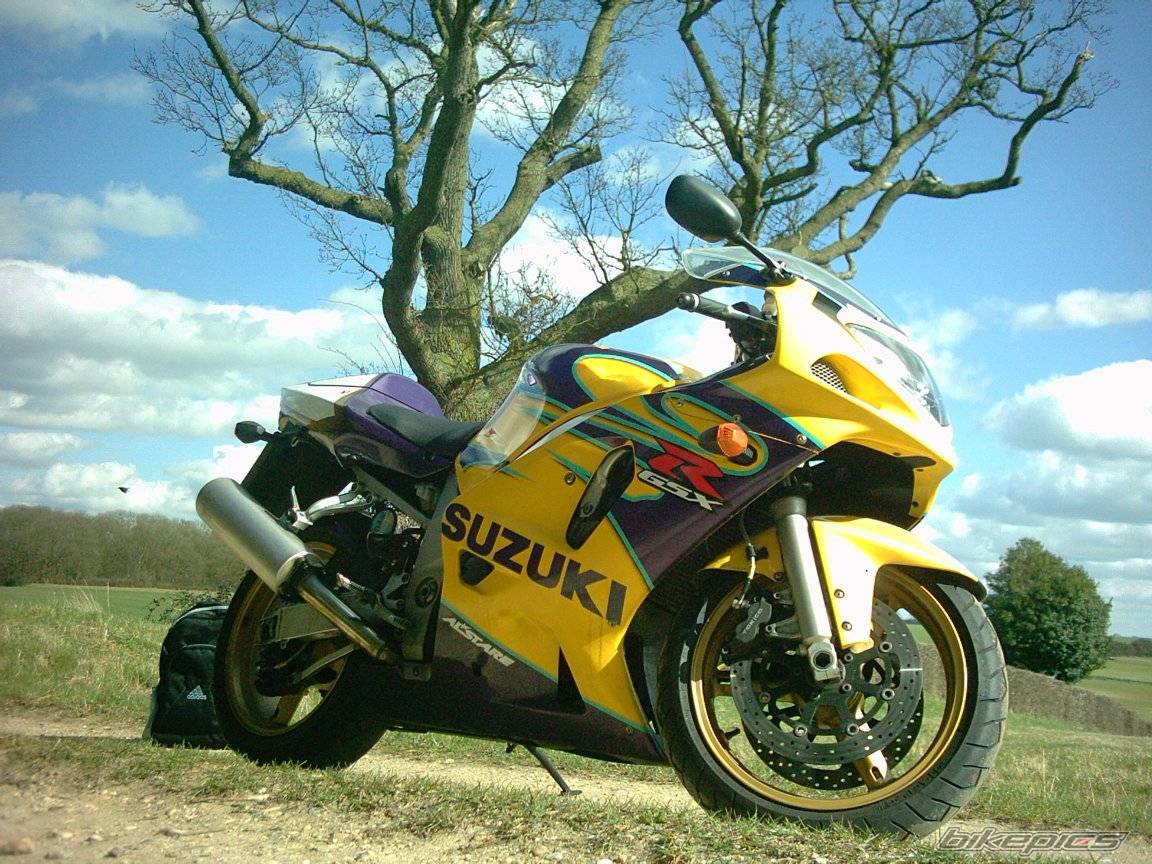Bike Photo 558470