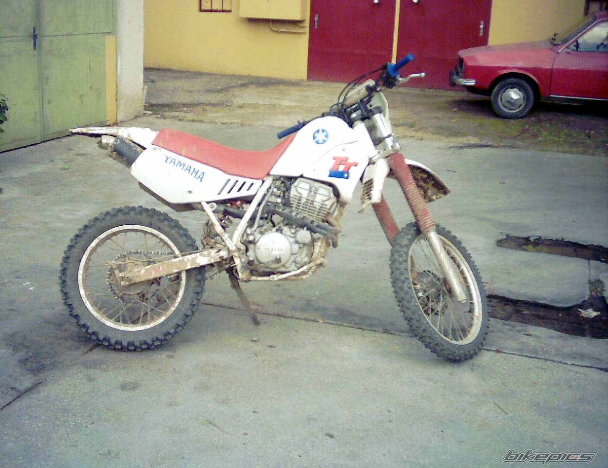 Bike Photo 55849