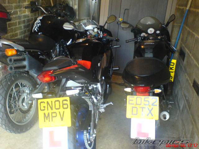 Photo 558532